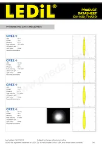 CA11420_TINA2-D Datasheet Page 3