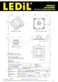 CA11817_STRADA-SQ-T-DN Datasheet Page 2