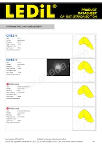 CA11817_STRADA-SQ-T-DN Datasheet Page 3