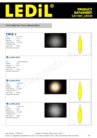 CA11931_LR2-M Datasheet Page 3