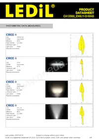 CA12000_EMILY-O-WAS Datasheet Page 3