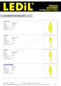 CA12000_EMILY-O-WAS Datasheet Page 8