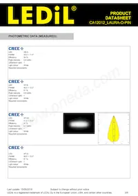CA12012_LAURA-O-PIN Datasheet Page 3