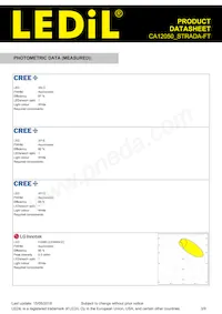 CA12050_STRADA-FT Datasheet Page 3