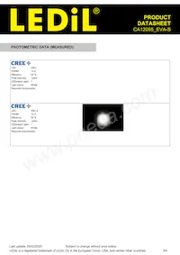 CA12055_EVA-S Datasheet Pagina 3