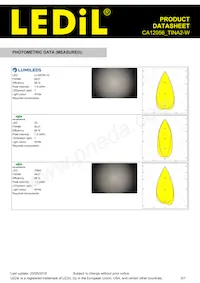 CA12056_TINA2-W Datasheet Page 5