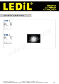 CA12058_EVA-M數據表 頁面 3