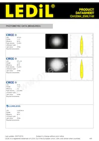 CA12064_EMILY-M Datasheet Page 4