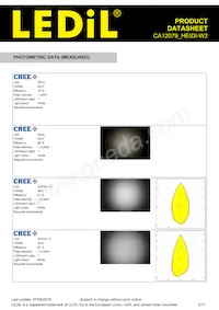 CA12079_HEIDI-W2 Datasheet Pagina 3