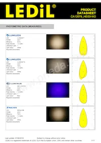 CA12079_HEIDI-W2 Datasheet Pagina 7