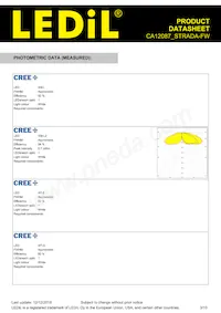 CA12087_STRADA-FW Datasheet Page 3