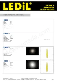 CA12242_HEIDI-SS Datasheet Page 3