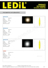 CA12242_HEIDI-SS Datasheet Page 5