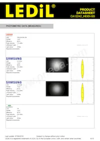 CA12242_HEIDI-SS Datasheet Pagina 6