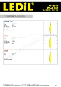 CA12242_HEIDI-SS Datasheet Page 9