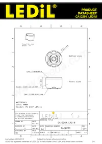 CA12264_LR2-M Datasheet Page 2