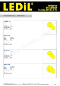 CA12332_STRADA-T-DN Datasheet Page 3