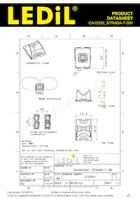 CA12333_STRADA-T-DW Datasheet Pagina 2