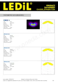 CA12333_STRADA-T-DW Datasheet Page 3