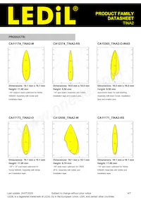 CA12350_TINA2-W Datasheet Page 4