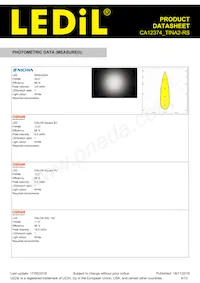 CA12374_TINA2-RS Datasheet Page 4