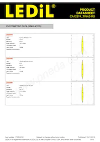 CA12374_TINA2-RS Datasheet Page 9