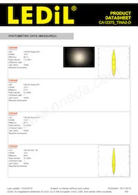CA12375_TINA2-D Datasheet Page 4