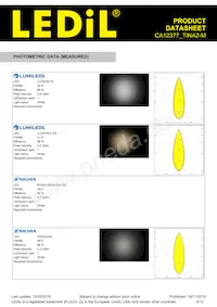 CA12377_TINA2-M Datasheet Page 4