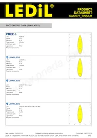 CA12377_TINA2-M Datasheet Page 8