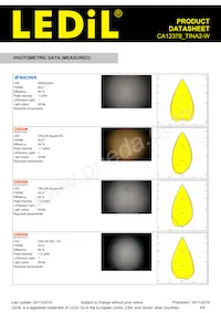 CA12378_TINA2-W Datasheet Page 4