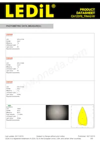 CA12378_TINA2-W Datasheet Pagina 5