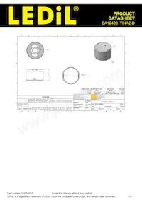 CA12400_TINA2-D Datasheet Page 2