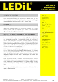 CA12400_TINA2-D Datasheet Page 4