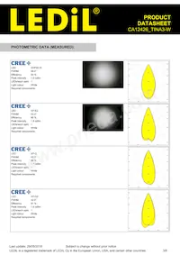 CA12426_TINA3-W Datasheet Pagina 3