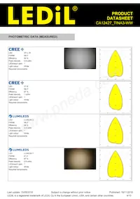 CA12427_TINA3-WW Datasheet Page 4