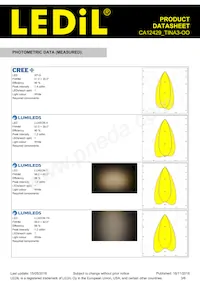 CA12429_TINA3-OO Datasheet Pagina 3