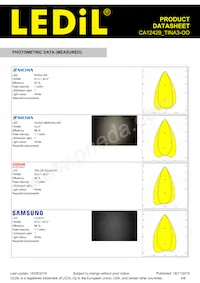 CA12429_TINA3-OO Datasheet Page 4