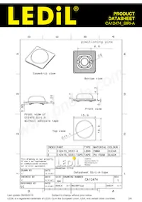 CA12474_SIRI-A數據表 頁面 2