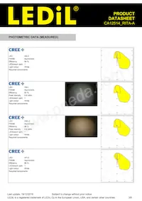 CA12514_RITA-A Datasheet Page 3