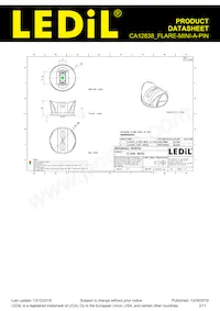 CA12838_FLARE-MINI-A-PIN Datasheet Page 2