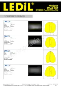 CA12838_FLARE-MINI-A-PIN 데이터 시트 페이지 3