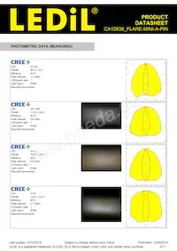 CA12838_FLARE-MINI-A-PIN 데이터 시트 페이지 4