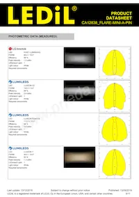 CA12838_FLARE-MINI-A-PIN Datasheet Page 5