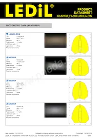 CA12838_FLARE-MINI-A-PIN Datasheet Pagina 6