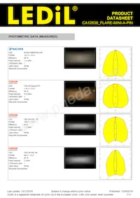 CA12838_FLARE-MINI-A-PIN Datasheet Pagina 7