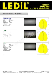 CA12838_FLARE-MINI-A-PIN Datasheet Page 8