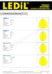 CA12838_FLARE-MINI-A-PIN Datasheet Page 9