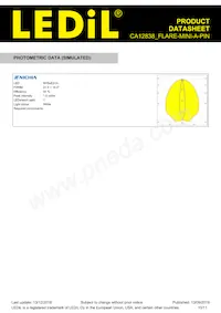 CA12838_FLARE-MINI-A-PIN Datasheet Pagina 10