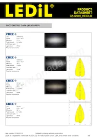 CA12949_HEIDI-O數據表 頁面 3