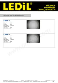 CA12981_LAURA-R-XW Datasheet Page 3